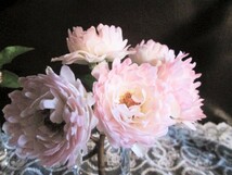  ★シーアネモネ（Sea Anemone）ユニークなバラ(*^-^*)薔薇なの？？？_画像7