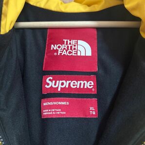 Supreme / The North Face Statue of Liberty Mountain Jacket 