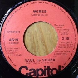 RAUL de SOUZA / WIRES