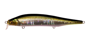 Megabass ITO-SHINER SSR / メガバス ITO シャイナーSSR #TENNESSEE SHAD