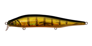 Megabass ITO-SHINER SSR / メガバス ITO シャイナーSSR #GG PERCH