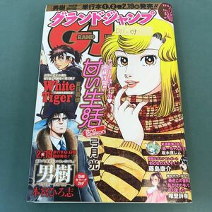 D11-109 グランドジャンプ 2013年2月20日号 No.05 集英社