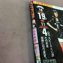 D14-058 ヤングアニマル No.19 2013年9月27日発売 松井玲奈 3月のライオン 他 付録無し_画像4