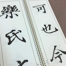 D17-010 拡大法書選集45 光明皇后楽毅論 一 二玄社 _画像5