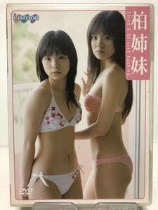 柏静香&柏志穂 DVD 柏姉妹