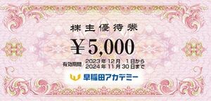 早稲田アカデミー　株主優待券　5000円×1枚　2022/11/30