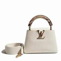 M5278P　▼LOUIS VUITTON ルイヴィトン▼　N98477 カプシーヌ MINI ホワイト / パイソン レザー 2way ショルダーバッグ ミニ 白 rb mks_画像1