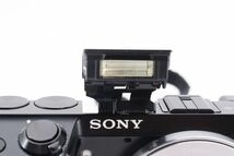 #h326★実用品★ ソニー SONY NEX-7 ボディ_画像10