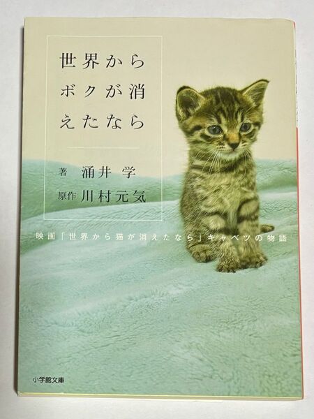 世界からボクが消えたなら/著:涌井学 原作:川村元気/小学館文庫