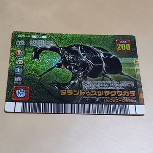 甲虫王者ムシキング　ムシカード029 　　　タランドゥツヤクワガタ　②