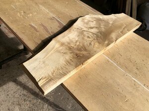 【EK63S】ポプラ 718×～245×37㎜ 一枚板 材料 天然木 無垢材 木材 希少材 乾燥材 銘木 木工 DIY《銘木登屋》