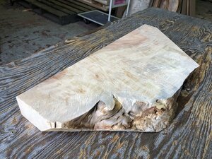 【EE824M】栃 585×～270×54㎜ 極上杢 一枚板 材料 天然木 無垢材 乾燥材 銘木 材木 木工 DIY《銘木登屋》