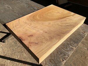 【DL981B】欅 550×～395×59㎜ 極上杢 一枚板 材料 天然木 無垢材 乾燥材 銘木 材木 木工 DIY 希少材《銘木登屋》