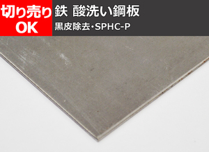 鉄 酸洗い鋼板(黒皮除去品・SPHC-P) 寸法 切り売り 小口 販売 加工 F10