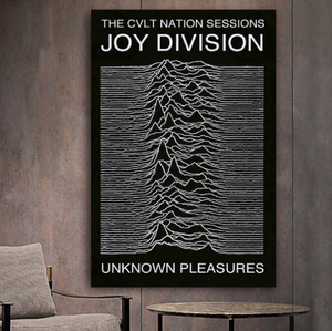 G263 JOY DIVISION ジョイ・ディビジョン ジョイ・ディヴィジョン キャンバスアートポスター 50×75 イラスト インテリア 海外製 枠なし 