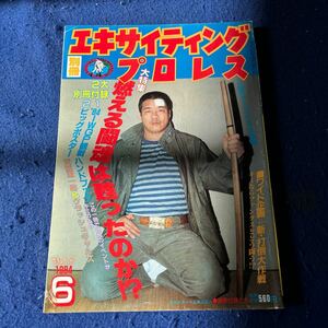 別冊エキサイティングプロレス◆1984年6月号◆天龍源一郎◆クラッシュギャルズ◆プリンセス・ビクトリア