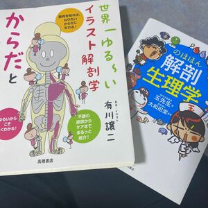 セット　のほほん解剖生理学　からだと筋肉のしくみ　世界一ゆる～いイラスト解剖学 有川譲二／著・イラスト 840やの