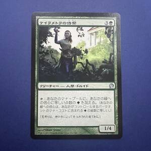 MTG/ケイラメトラの侍祭/Karametra's Acolyte/日本語/1枚