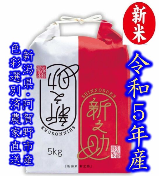 新米　令和5年産　新潟　新之助　白米5kg×1個★農家直送★色彩選別済12