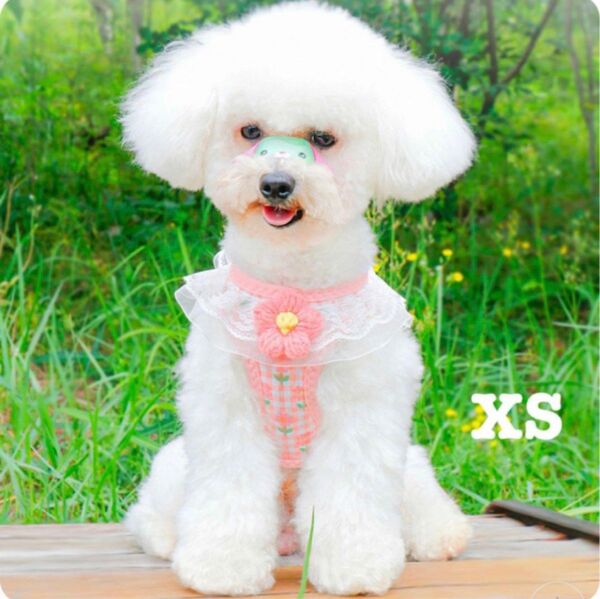 犬用ハーネス お花の刺繍がかわいいハーネス XS ピンク　脱着簡単 ハーネス