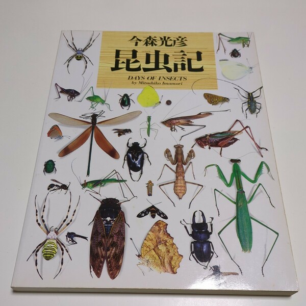 昆虫記 今村光彦 福音館書店 DAYS OF INSECTS 初版 1995年第20刷 中古 古書