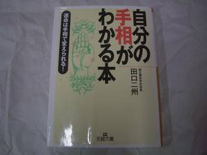 自分の手相がわかる本　田口二州　三笠書房　王様文庫　2007年11月30日　第9刷