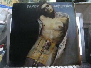 JANE'S ADDICTION ジェーンズアディクション / JANE'S ADDICTION U.S.LP 美品 Red Hot Chili Peppers Guns N' Roses