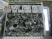 V.A / ENJOY YOUR YOUTH 500枚限定ナンバー入LP MAD CONFLUX DISCLAIM BAD SMELLS FINAL COUNT FVK CRUCK MINO-5 SIC JELLY BEANS DON DON_画像1