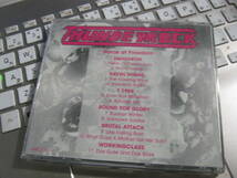 V.A./ THUNDERROCK - Voice Of Freedom ドイツ盤CD RAC Squadron Ravens Wings T 1988 Bound For Glory Brutal Attack Workingclass_画像3