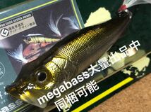 【OLD COLOR】Megabass ルアー メガバス POPX M WAKASAGI（検:POP-X、希少、ポップX、POPMAX、SP-C、限定、入手困難）※同梱可能_画像1