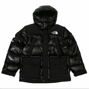 Supreme The North Face 700-Fill Down ダウン ヌプシ ノースフェイス