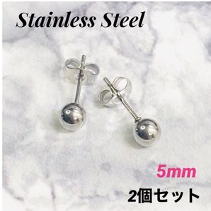 2個 5mm 丸玉 ステンレス ボールピアス
