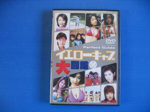 DVD■特価処分■視聴確認済■グラビアアイドルたちの… イエローキャブ大図鑑 銀盤■No.2293