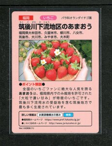 水の恵みカード■63 筑後下流地区のあまおう■福岡県久留米市ほか