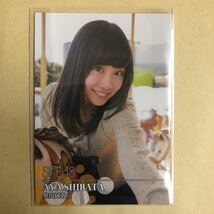 SKE48 柴田阿弥 2014 トレカ アイドル グラビア カード R073 女子アナ タレント トレーディングカード_画像1