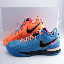 美品 NIKE ZOOM LEBRON NXXT GEN EP DR8788-900 Multi Color US10.5 28.5cm ナイキ ズームレブロン マルチカラー_画像1