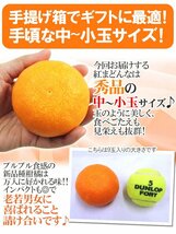 （予約）限定1箱！愛媛産【紅まどんな】8～10玉前後 1.5kg 化粧箱！！！！_画像7