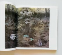 a2. 【 図録】松井冬子展 世界中の子と友達になれる 横浜美術館 2011年~2012年_画像4