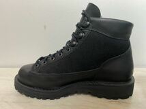 ★ダナージャパン時代★未使用に近い★GORETEX白タブ ★Danner ダナーライト ブーツ 31400XGORE-TEX US8.5EE(26.5〜27.0)30440 _画像6