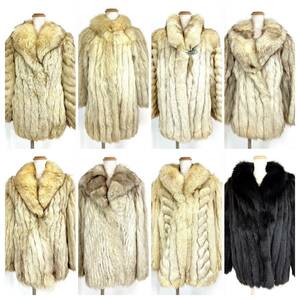 【貂商】 h1601まとめ売り フォックス 8枚セット フォックスコート ブルーフォックス 毛皮 狐皮FOX fox大衣