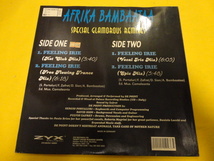 Afrika Bambaataa - Feeling Irie オリジナル原盤 12 アッパー・ダンス・RAP Special Glamorous Remixes _画像2