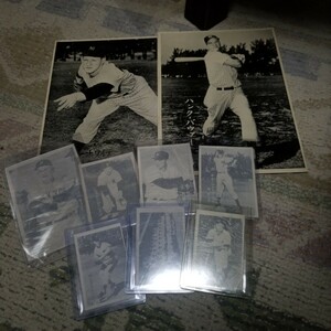 1955年 ヤンキース 日米野球 ブロマイド 9枚 ミッキー マントル ステンゲル フォード (検)ベーブ・ルース 大谷翔平 メンコ yankees mantle
