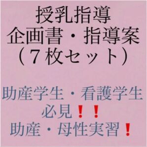 授乳指導企画書・指導案（7枚セット）購入は必ず専用ページからお願いします