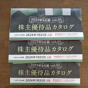 【即決】ベネッセホールディングス株主優待　 3冊セット　 2024年1月31日　 匿名配送送料込