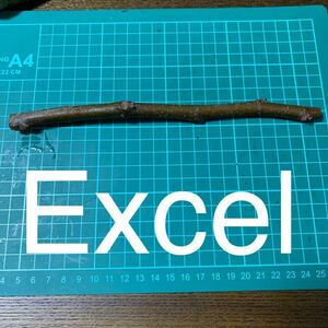 Excel穂木　いちじく穂木　イチジク穂木