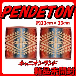 ペンドルトン PENDLETON ハンドタオル ウォッシュタオル 2枚セット　③