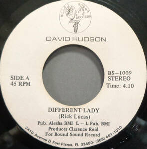 【SOUL 45】DAVID HUDSON - DIFFERENT LADY / HOW CAN YOU MEND A BROKEN HEART (s231217035) 