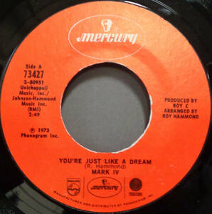 【SOUL 45】MARK IV - YOU'RE JUST LIKE A DREAM / WHY DO YOU WANT TO HURT ME? (s231218009) *not on lp