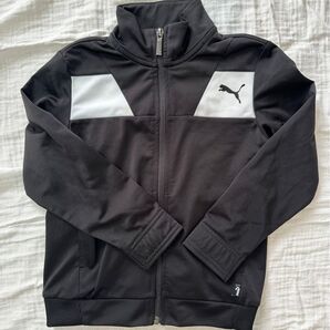 PUMA キッズ ジャージ 上下セット120