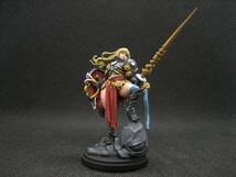 ☆Kingdom Death キングダムデスPaladin Survivor 完成品_画像6